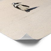 Pinguïns bij Boulders Beach, Simons Town, Zuid 2 Poster (Hoek)