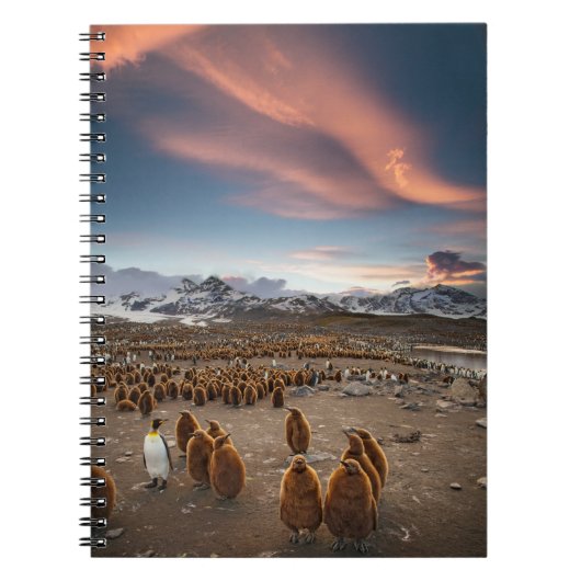 Pinguïns bij zonsondergang notitieboek (Voorkant)