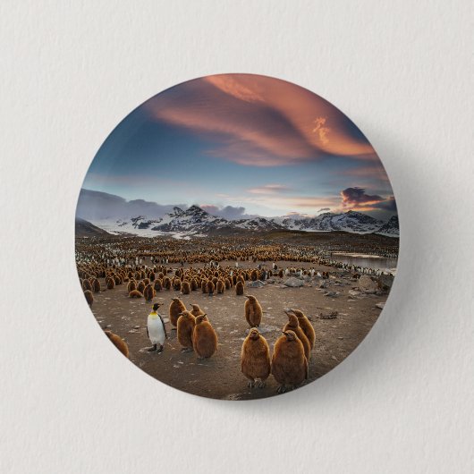 Pinguïns bij zonsondergang ronde button 5,7 cm (Voorkant)