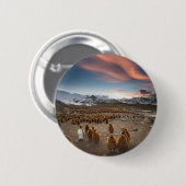 Pinguïns bij zonsondergang ronde button 5,7 cm (Voorkant /achterkant)