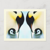 Pinguïns Briefkaart (Voorkant)