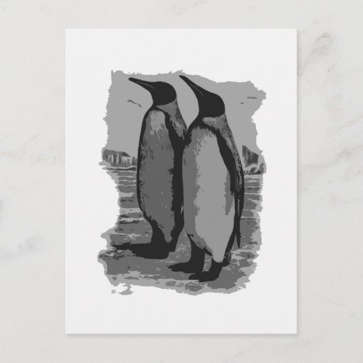 pinguïns briefkaart (Voorkant)