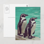 Pinguïns Briefkaart (Voorkant / Achterkant)