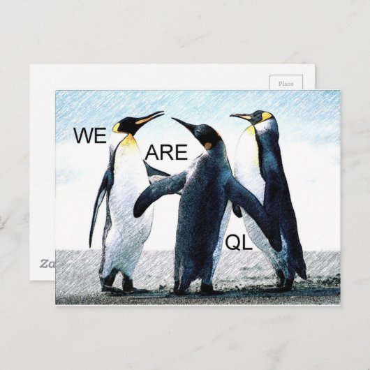 pinguïns briefkaart (Voorkant / Achterkant)
