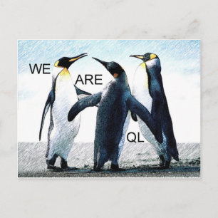 pinguïns briefkaart