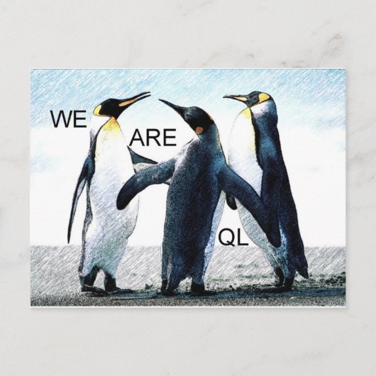 pinguïns briefkaart (Voorkant)