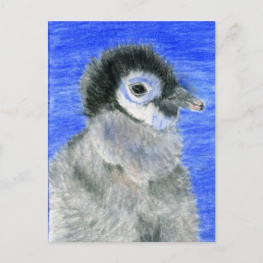 pinguïns briefkaart (Voorkant)