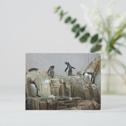 pinguïns briefkaart (Staand voorkant)
