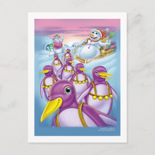 pinguïns_card briefkaart (Voorkant)