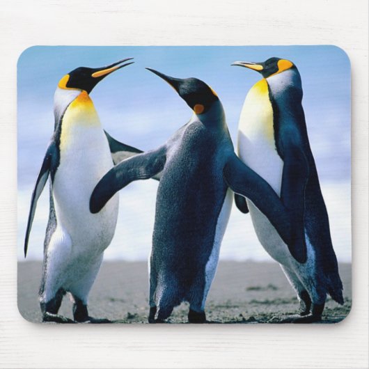 pinguïns: Colorful Penguin Mousepad of Muismat (Voorkant)