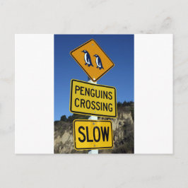 Pinguïns die het gele wegteken kruisen briefkaart