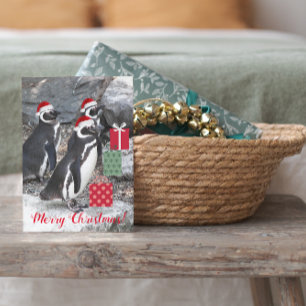 Pinguïns die kerstmutsen dragen Grappig Feestdagen Kaart