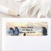 Pinguïns die op een ijsgang koelen etiket (Insitu)