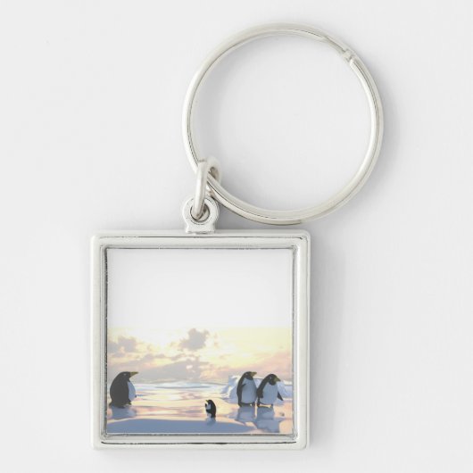 pinguïns die op een ijsgang koelen sleutelhanger (Voorkant)