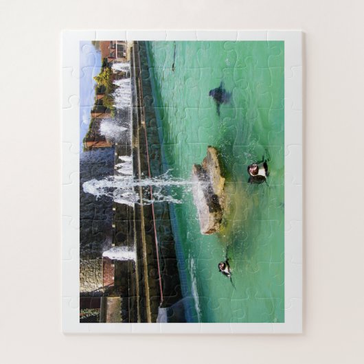 Pinguïns en fonteinen legpuzzel (Verticaal)