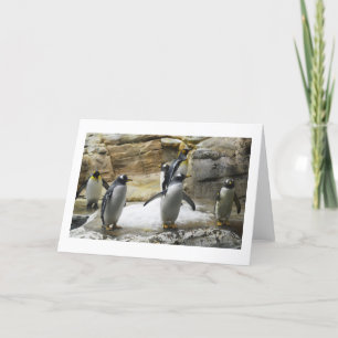 pinguïns feestdagen kaart