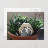 Pinguïns geschilderd stenen foto Briefkaart (Voorkant / Achterkant)