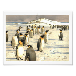 Pinguïns in Antarctica illustratie Foto Afdruk