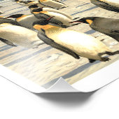 Pinguïns in Antarctica illustratie Foto Afdruk (Hoek)