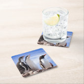 Pinguïns in Antarctica Kartonnen Onderzetters (Insitu)