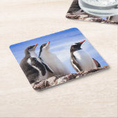 Pinguïns in Antarctica Kartonnen Onderzetters (Schuin)