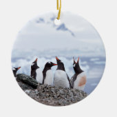 Pinguïns in Antarctica Keramisch Ornament (Voorkant)