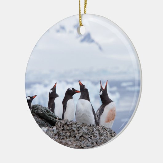 Pinguïns in Antarctica Keramisch Ornament (Links)