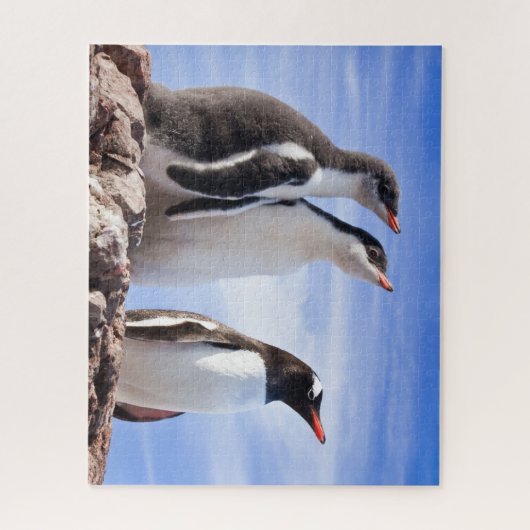 Pinguïns in Antarctica Legpuzzel (Verticaal)
