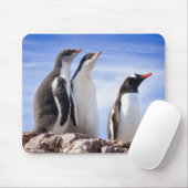 Pinguïns in Antarctica Muismat (Met muis)