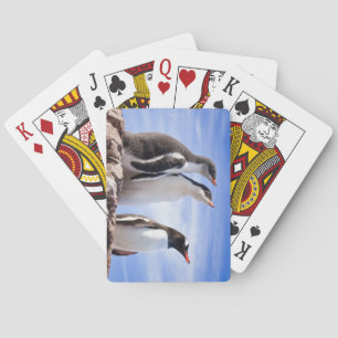 Pinguïns in Antarctica Pokerkaarten