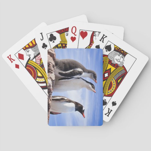 Pinguïns in Antarctica Pokerkaarten (Achterkant)