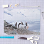 Pinguïns in Antarctica Tissuepapier (Craft)