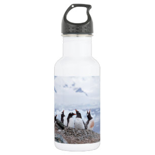 Pinguïns in Antarctica Waterfles