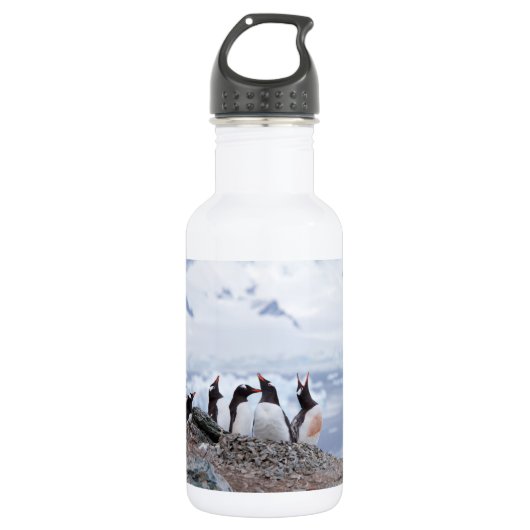 Pinguïns in Antarctica Waterfles (Voorkant)
