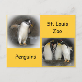 Pinguïns in de dierentuin briefkaart