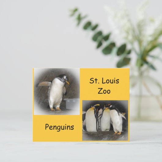 Pinguïns in de dierentuin briefkaart (Staand voorkant)