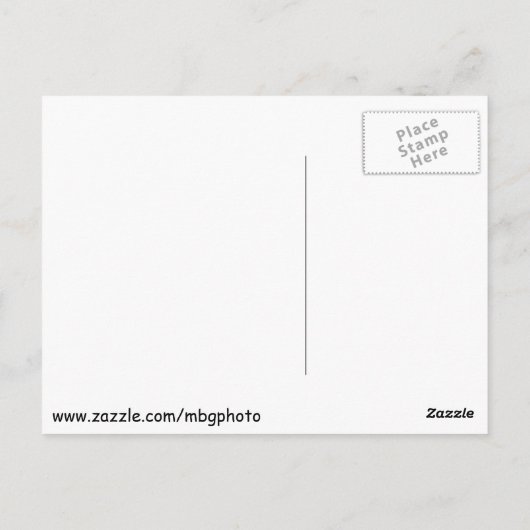 Pinguïns in de dierentuin briefkaart (Achterkant)