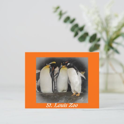 Pinguïns in de dierentuin briefkaart (Staand voorkant)