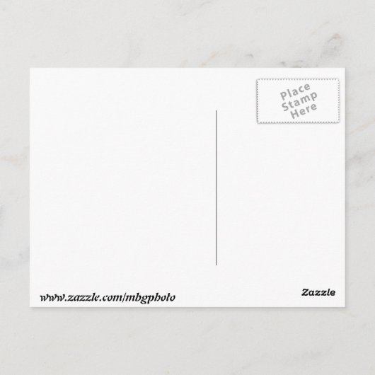 Pinguïns in de dierentuin briefkaart (Achterkant)