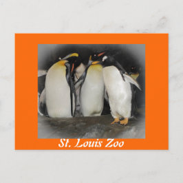 Pinguïns in de dierentuin briefkaart