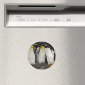 Pinguïns in de dierentuin magneet (Insitu (Vaatwasser))