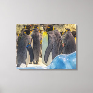 Pinguïns in de dierentuin uitzicht canvas print