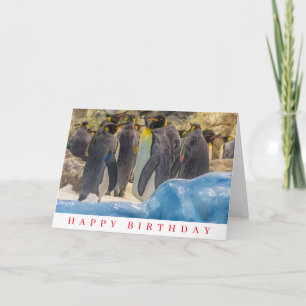 Pinguïns in de dierentuin verjaardagskaart kaart