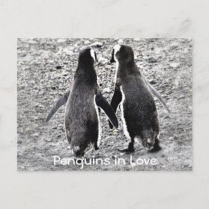 Pinguïns in de liefde briefkaart