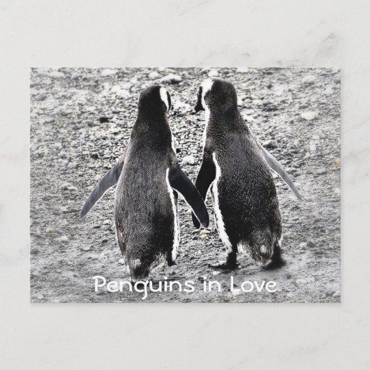 Pinguïns in de liefde briefkaart (Voorkant)