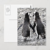 Pinguïns in de liefde briefkaart (Voorkant / Achterkant)