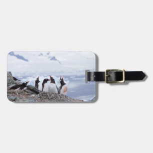 Pinguïns in het Antarctica-landschap Bagagelabel