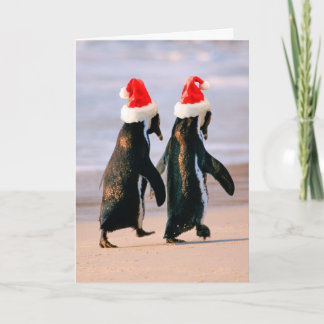 Pinguïns in kerstmannenmutsen op het strand feestdagen kaart