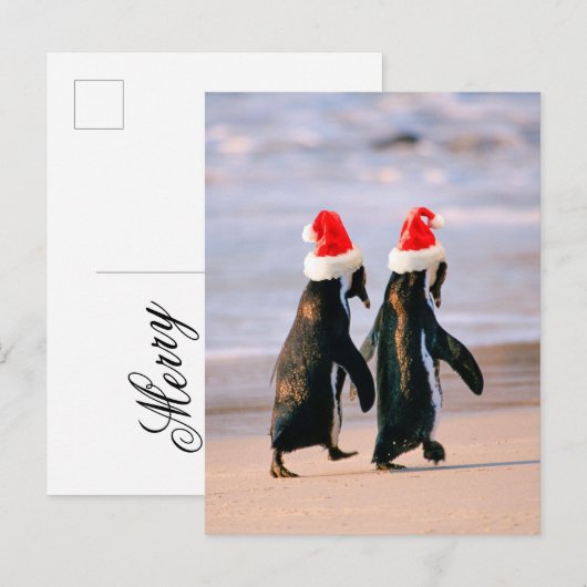 Pinguïns in kerstmannenmutsen op het strand feestdagenkaart (Voorkant / Achterkant)
