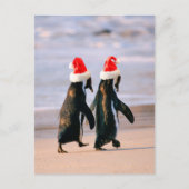 Pinguïns in kerstmannenmutsen op het strand feestdagenkaart (Voorkant)